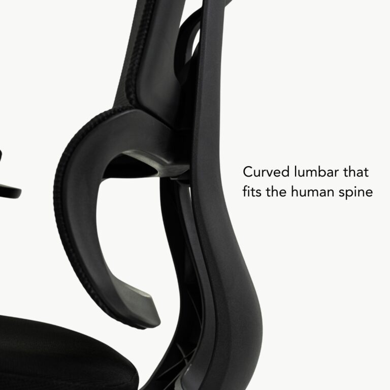 ErgoFlow Ergonomic Chair | EVIS Official