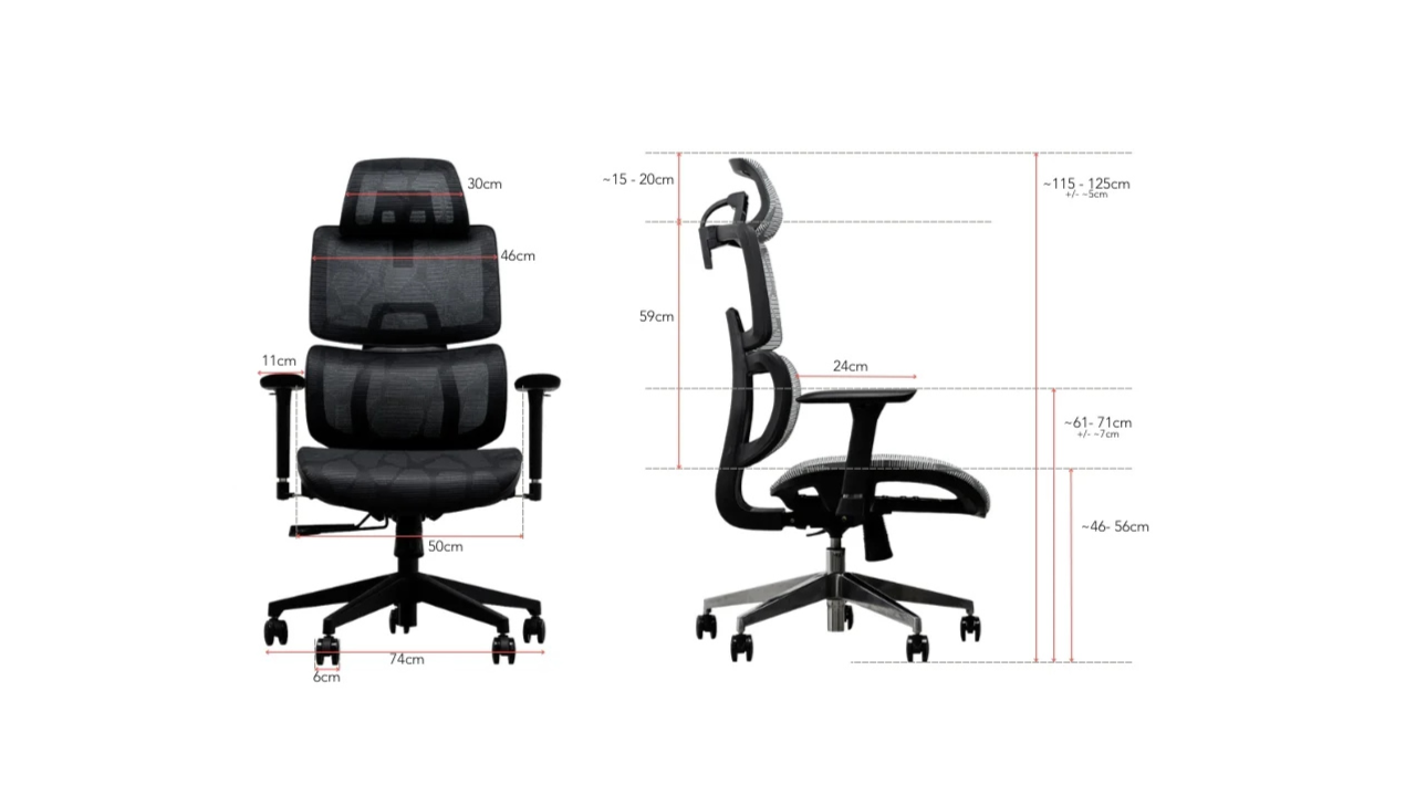Ergox Chair Dimension