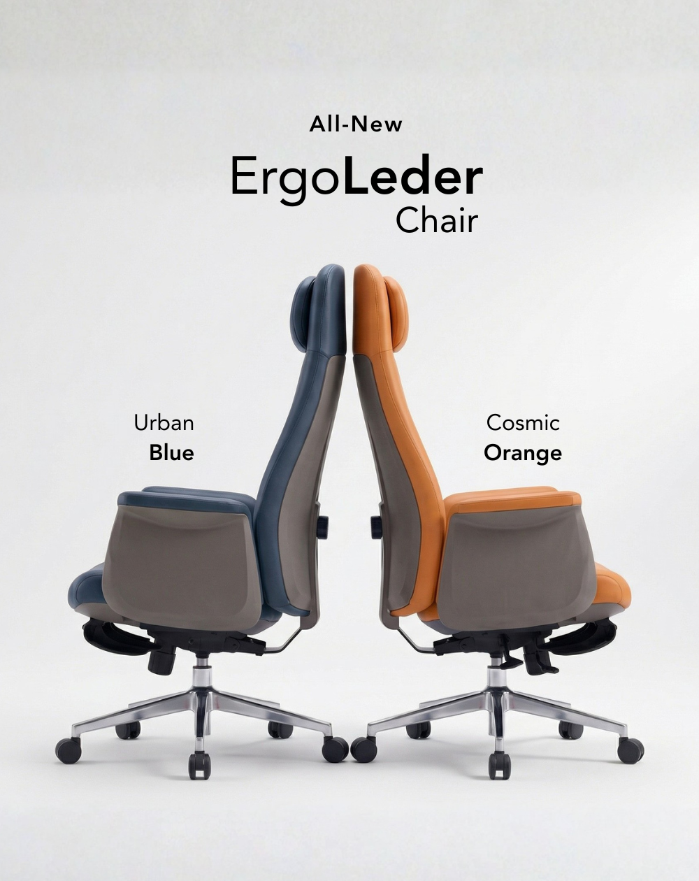 Ergoleder (1000 X 1260 Px) - Tablet